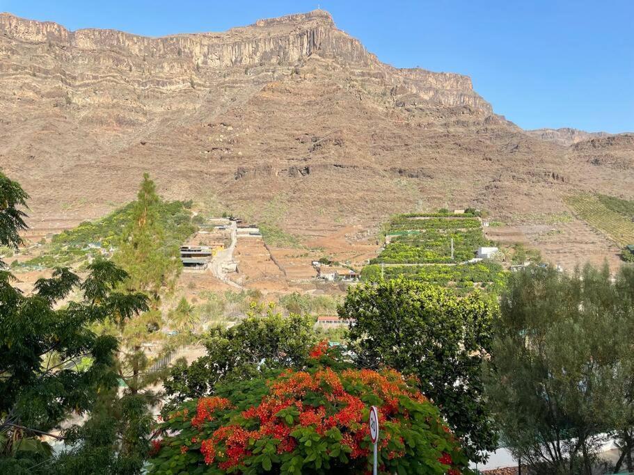 Cycling Holiday, 11 Km From Arguineguin Las Casillas  Exterior foto